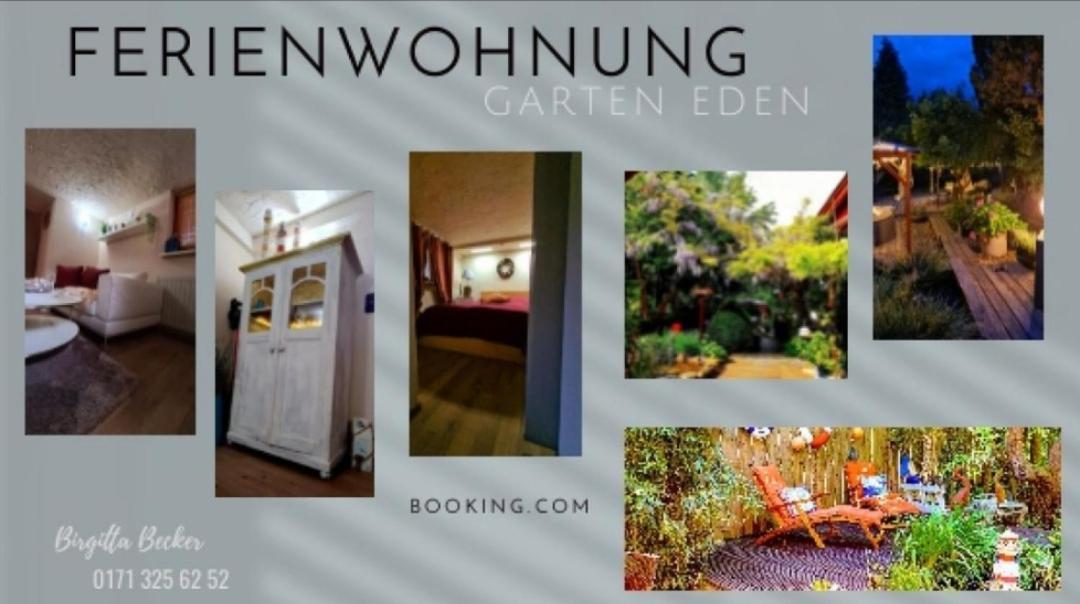 Ferienwohnung Im Garten Eden Grünberg Zewnętrze zdjęcie